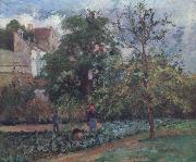 Camille Pissarro The orchard at Maubuissson,Pontoise Le verger a Maubuisson,Pontoise oil painting artist
